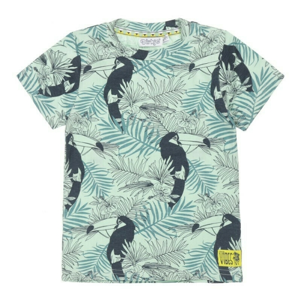 Παιδικο T-Shirt Για Αγόρια Dirkje V42678-35 Πράσινο